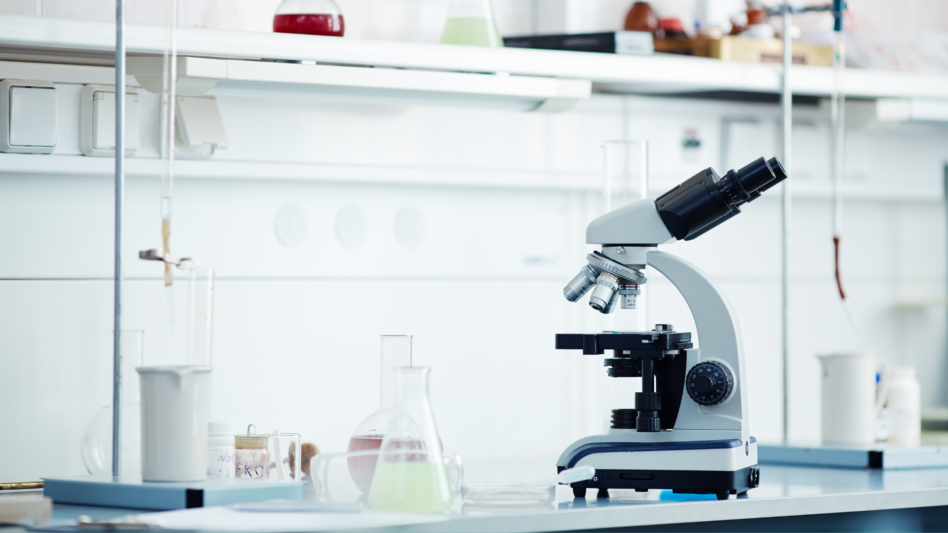 Trattamenti Anticaduta per Capelli con cellule staminali vegetali
